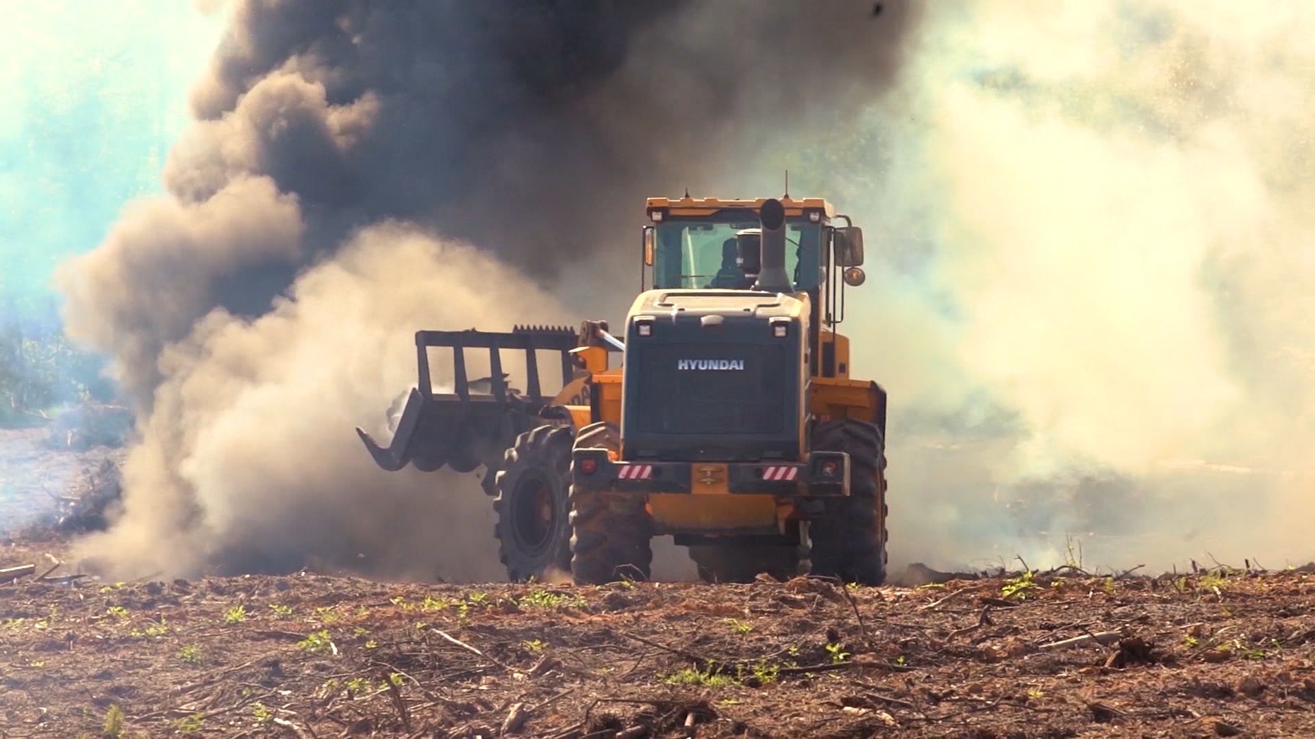 loader-landclearing
